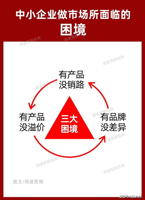 市場營銷策劃方案 差異化落地策略與案例解析