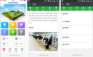 羊聯(lián)網(wǎng)溯源軟件 賦能畜牧業(yè)的智能技術(shù)革新